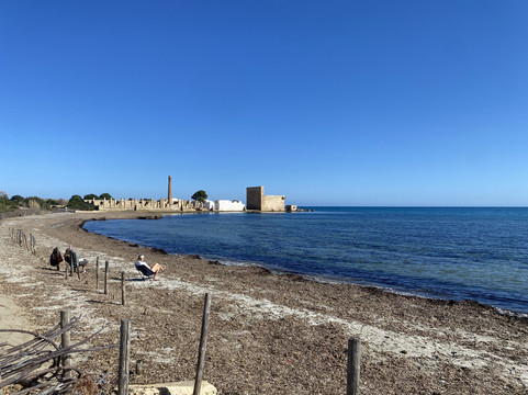 Riserva di Vendicari-诺托必去景点