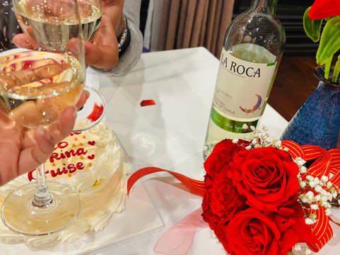 Erina Cruise-下龙湾必去景点