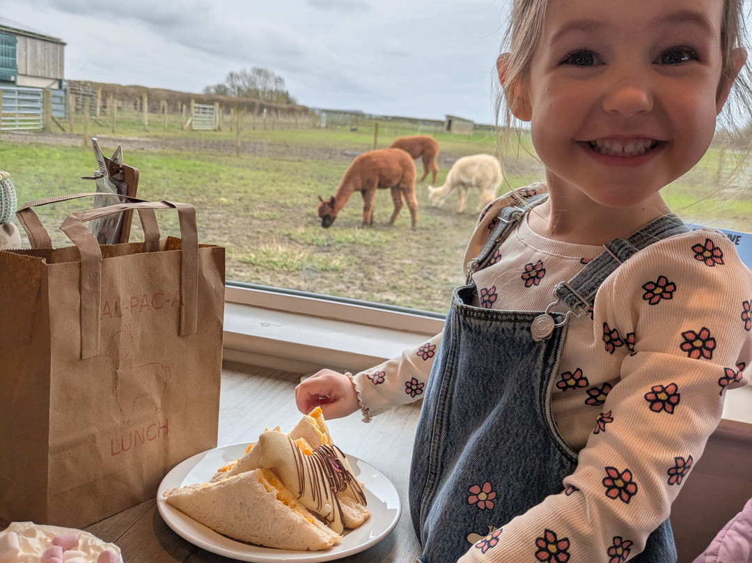 The Alpaca Centre at JandJ Alpacas-特伦特河畔纽瓦克必去景点