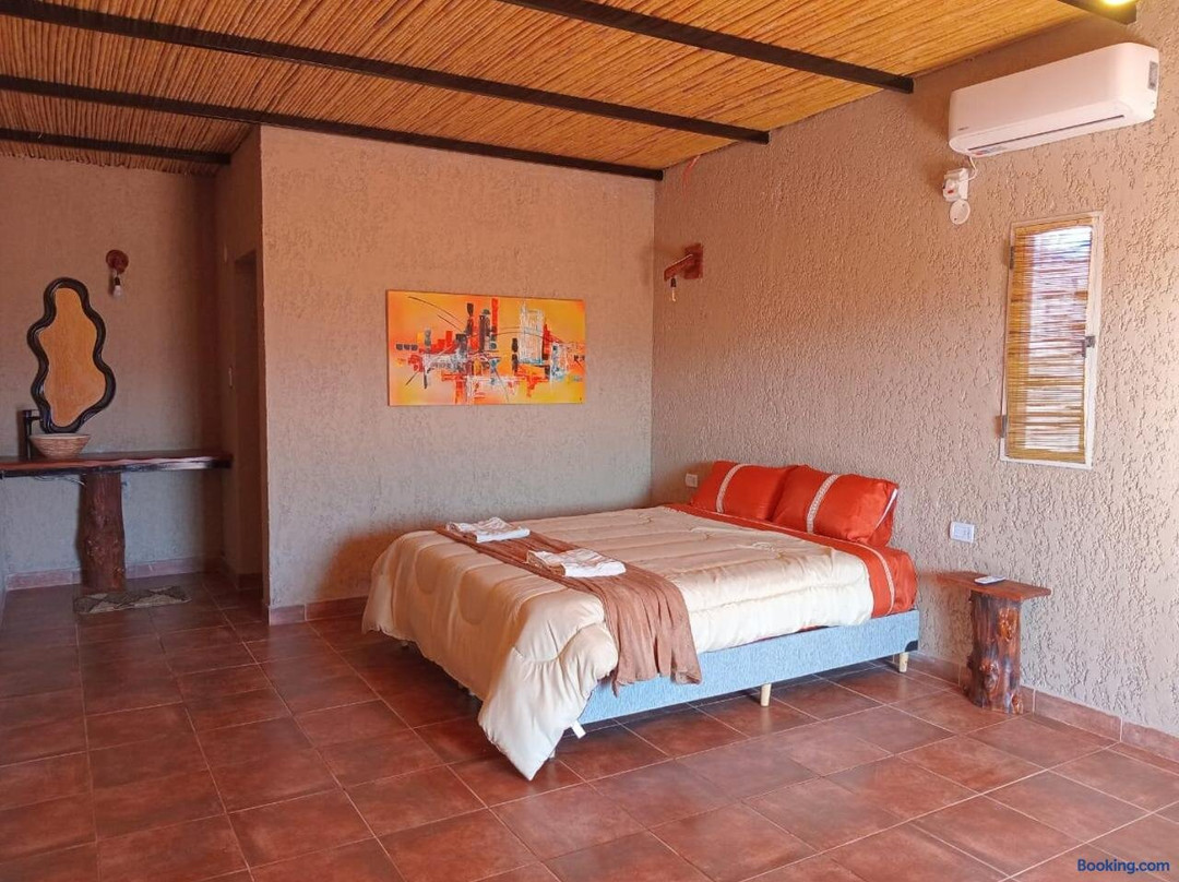 Cactus del Talampaya 2