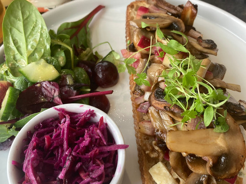 Alder Vineyard-Lewdown必去景点