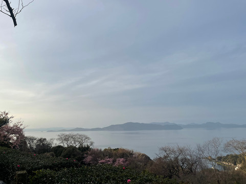 Fukuda Farm-水俣市必去景点