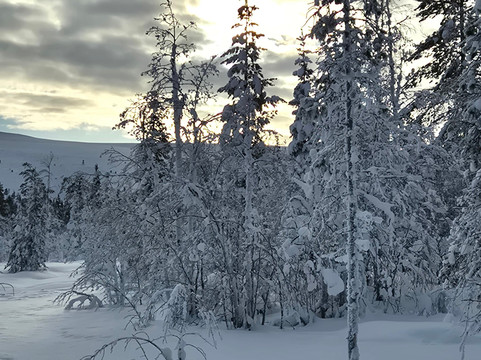 Lapland Travel-Akaslompolo必去景点