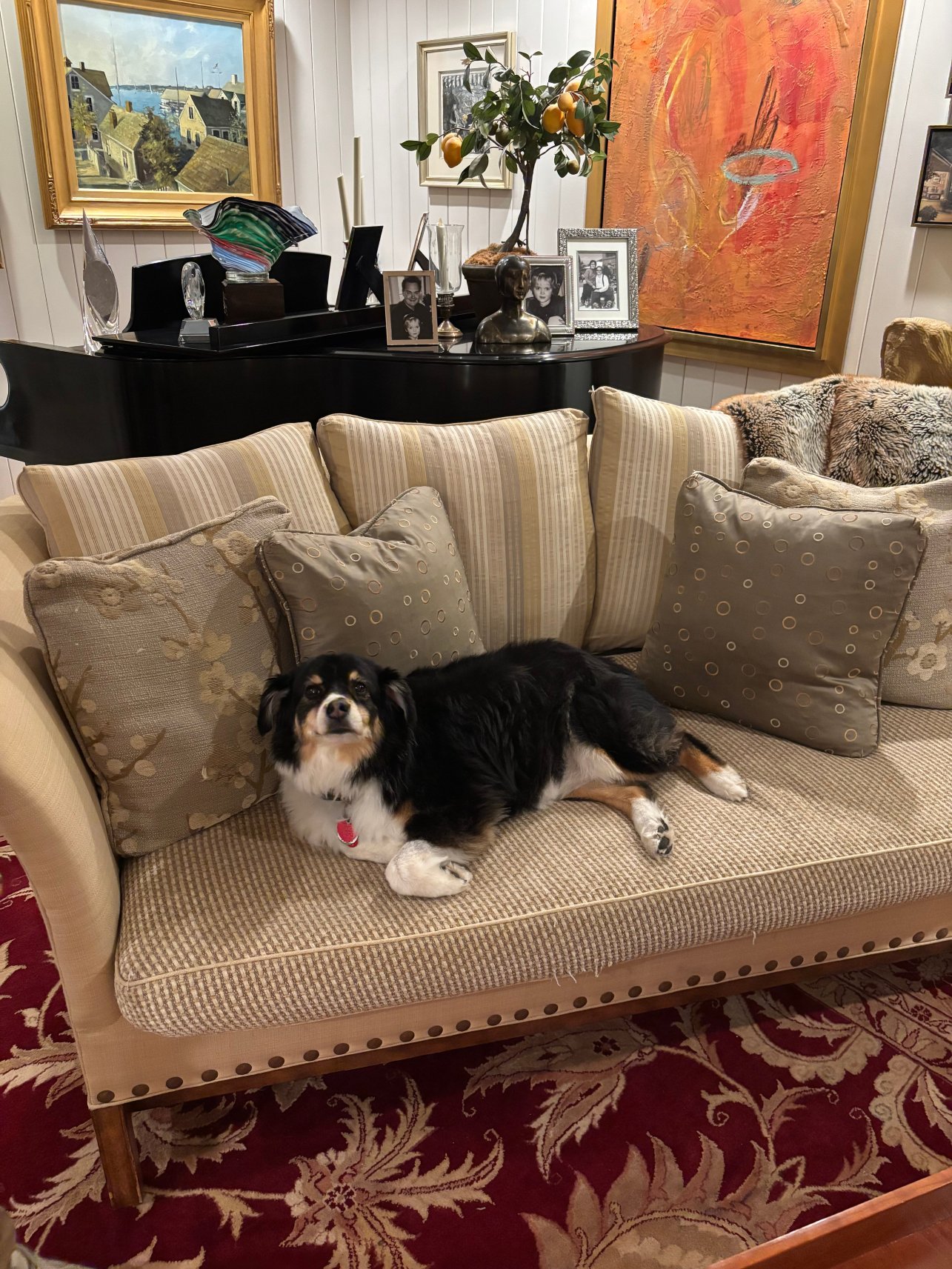 Welsh Hills Inn-官方