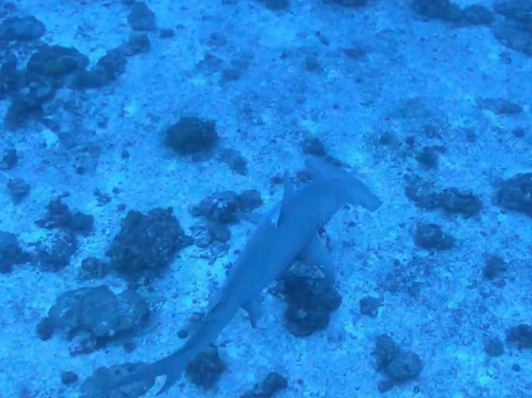 The Six Passengers-阿瓦托鲁必去景点