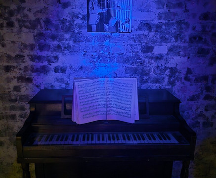 Bulldog Tours-查尔斯顿必去景点