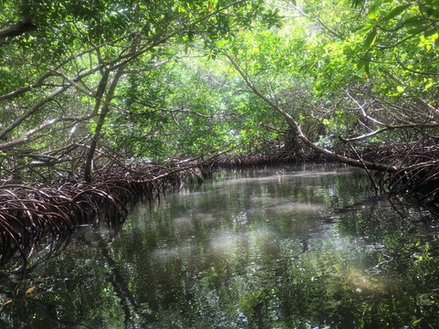 Alizes Adventure-Sainte Rose必去景点