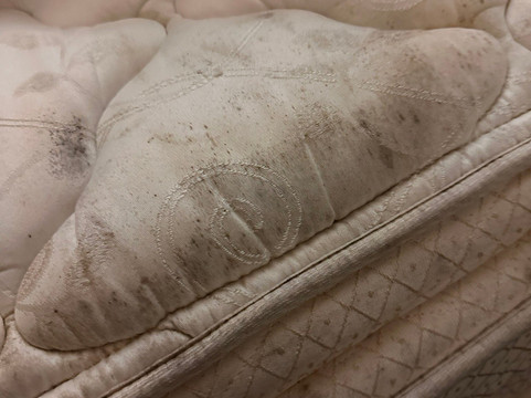 南萨莱纳舒适套房酒店主图