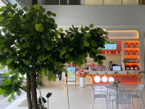 Pomepop - Ipoh Pomelo Experience Center-怡保必去景点