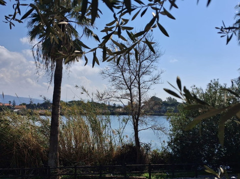 摩根娜别墅度假村主图