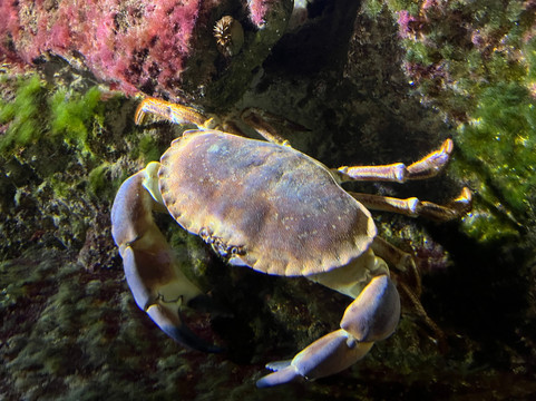 Aquarium de Vendée-Talmont Saint Hilaire必去景点