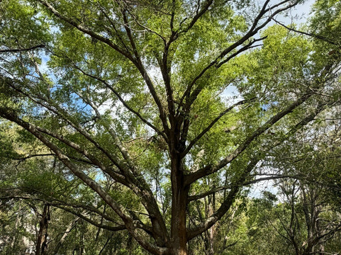 Oakland Nature Preserve-Oakland必去景点