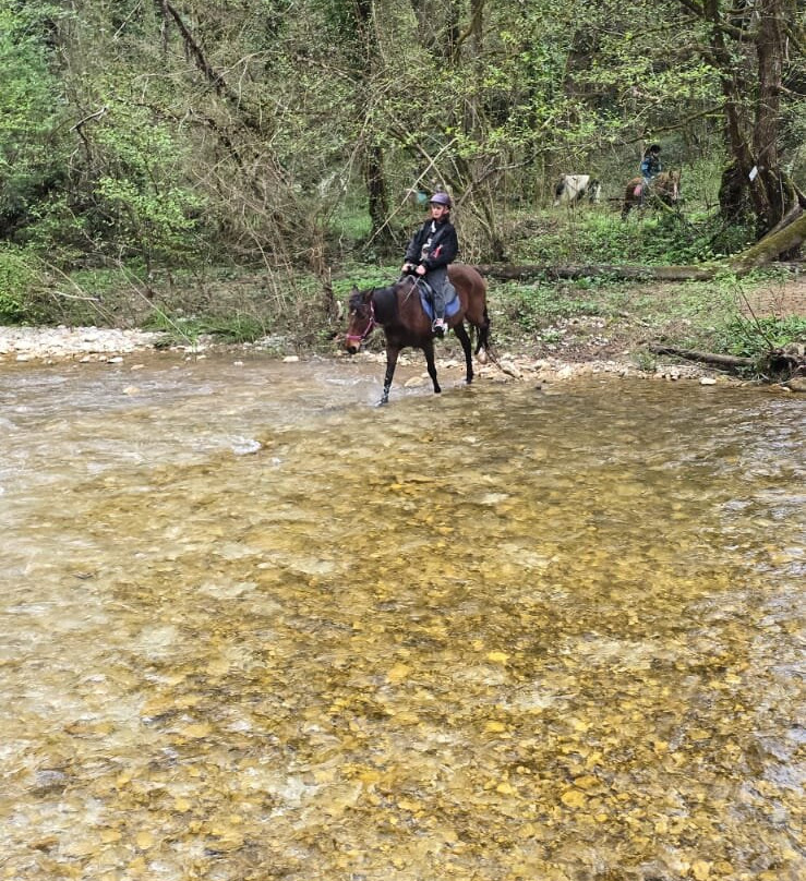 Sulla Collina di Castelnuovo di Farfa-Castelnuovo di Farfa必去景点