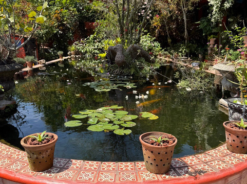 Jardín Botánico de Vallarta-Cabo Corrientes必去景点