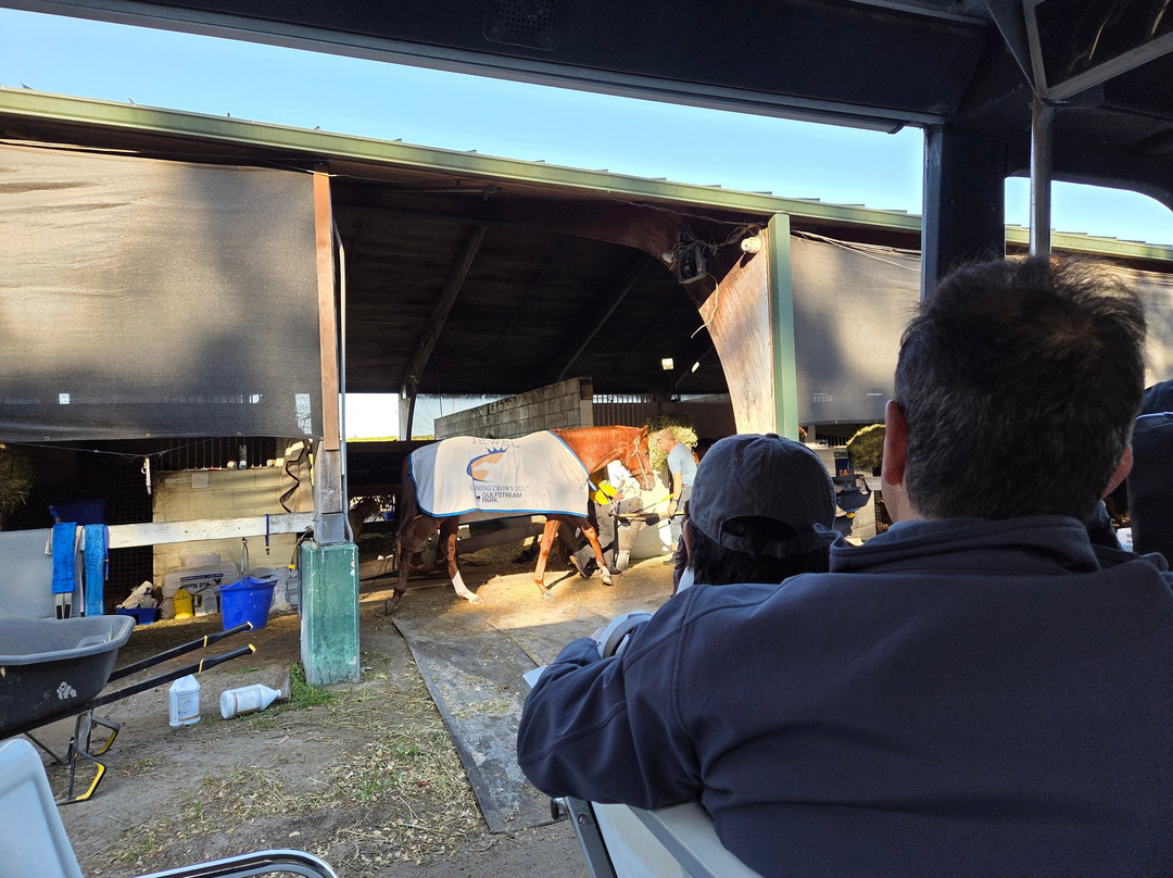 Gulfstream Park Racing and Casino-哈伦代尔海滩必去景点