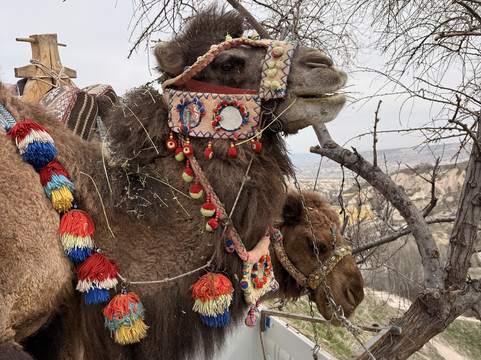 MyTrip Travel & Tourism Agency-乌奇萨必去景点