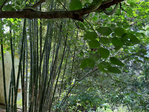 Phuket Cheap Tour-普吉岛必去景点