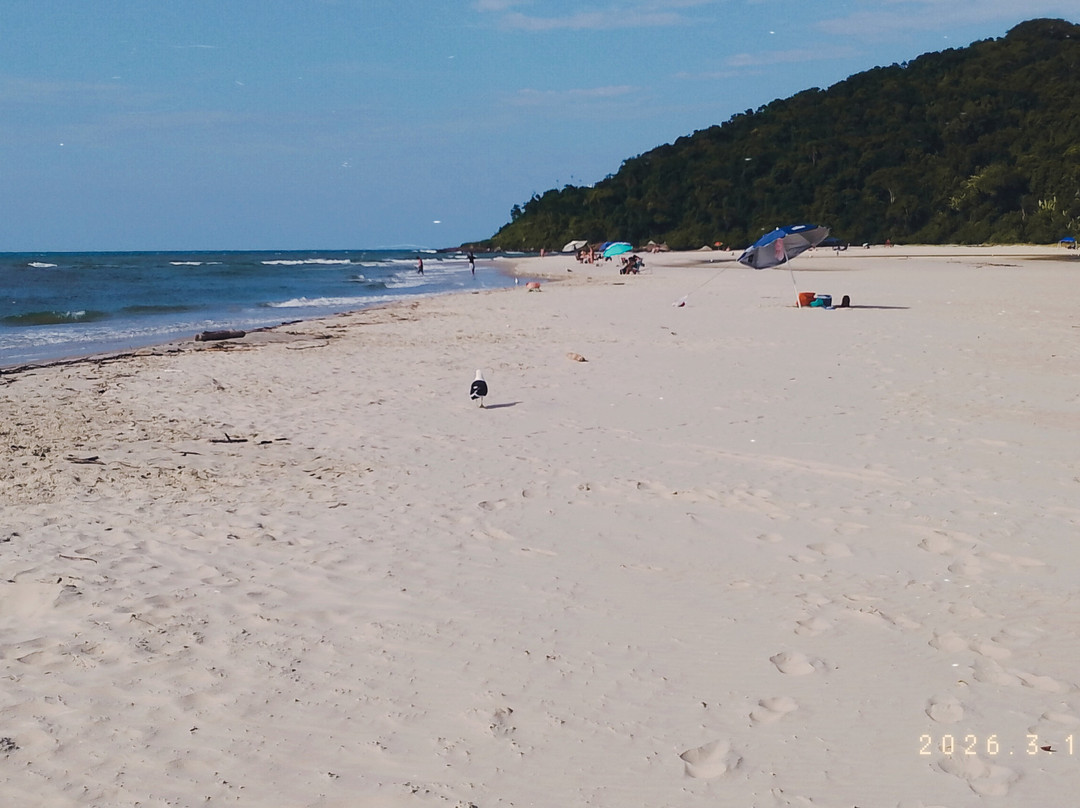 Forte Beach-Sao Francisco do Sul必去景点