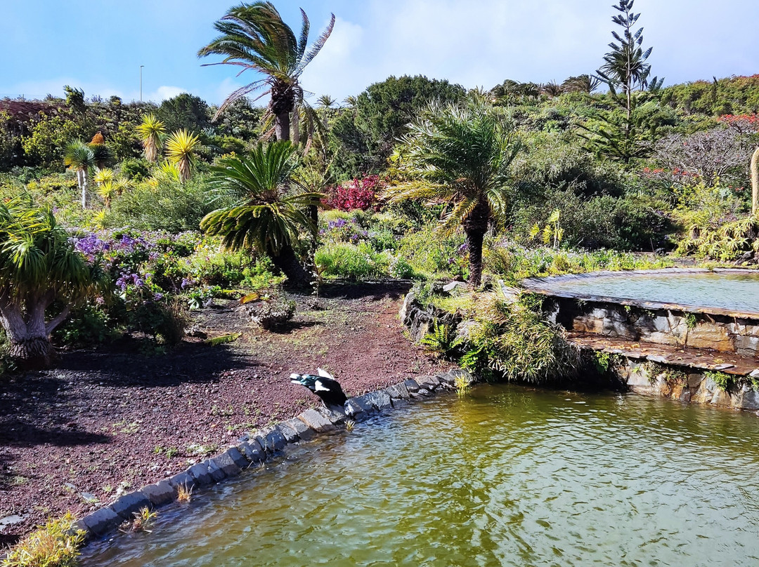 帕尔马酒店主图