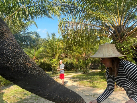Krabi Elephant Sanctuary-甲米必去景点