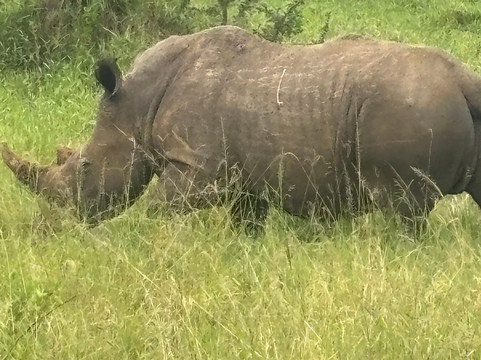 Ikaze Rwanda Tours & Travel-吉佳利必去景点