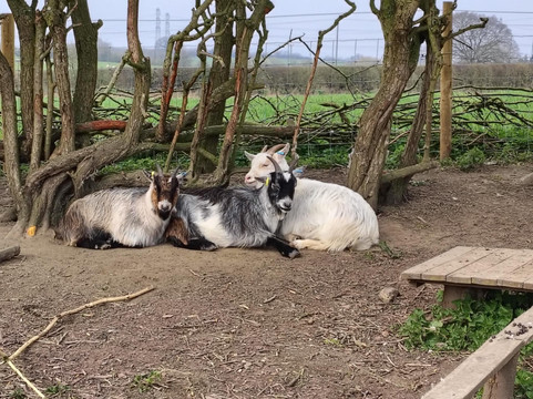 Frankly Farm Tours-Broseley必去景点