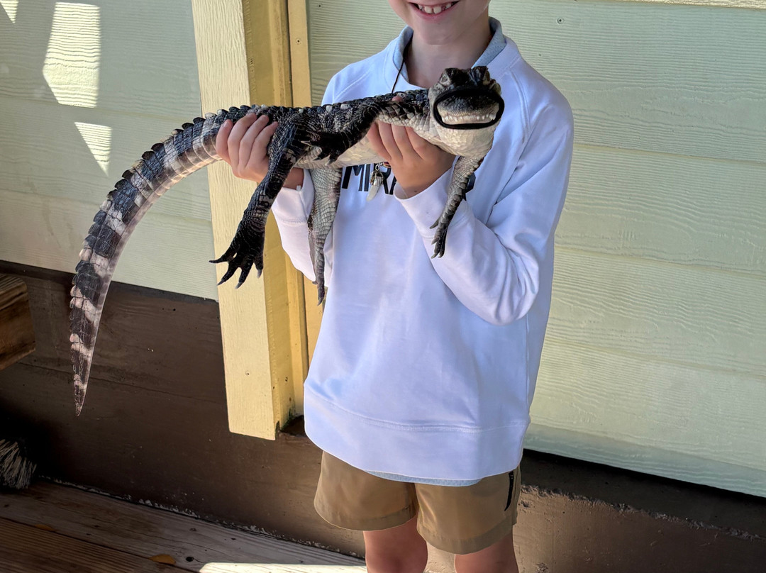 Wild Thang Airboat Tours-巴拿马城海滩必去景点