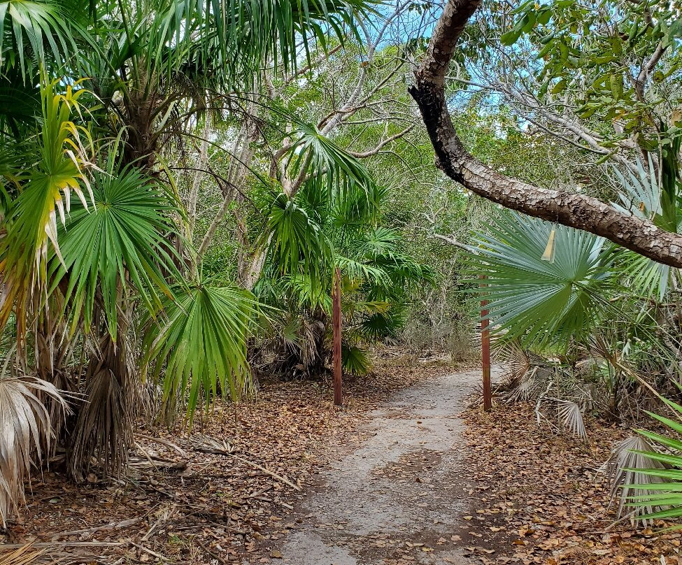 Blue Hole Observation Platform-Big Pine Key必去景点