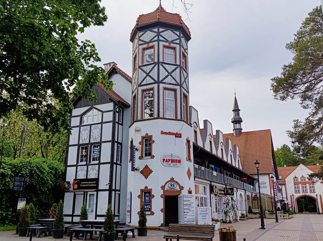 Central Square-斯韦特洛戈尔斯克必去景点