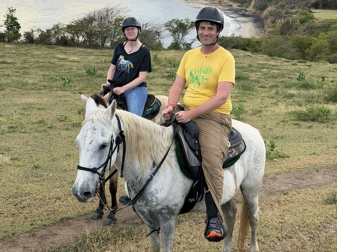 Esperanza Riding Company-维切克岛必去景点