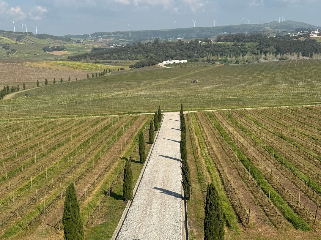 AdegaMae-托雷斯韦德拉什必去景点