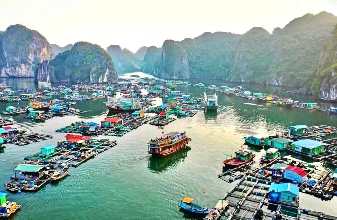 Baie d'Along-Cat Ba Town必去景点