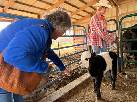 Rainbow Ranch Petting Farm-Nashville必去景点