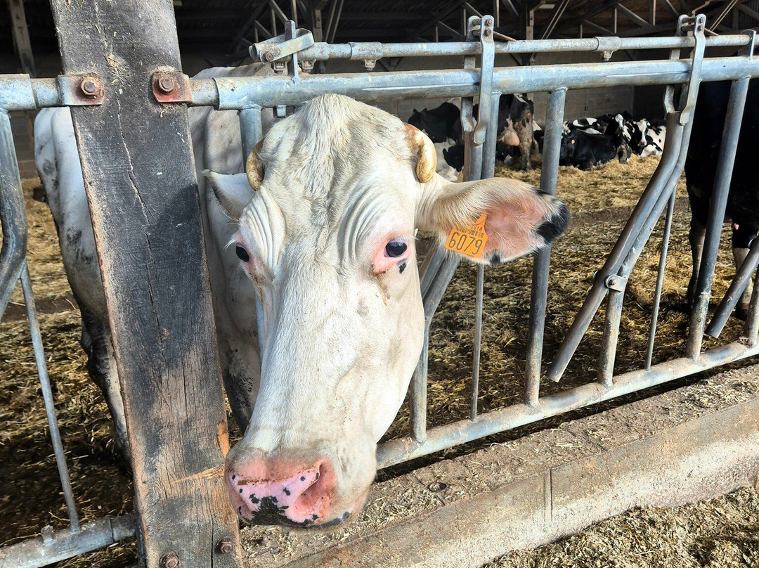 Agri'KIDS-Jarze必去景点