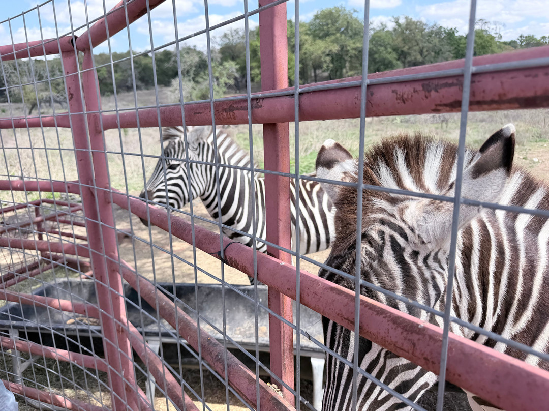 Grapetown Vineyard-弗雷德里克斯堡必去景点
