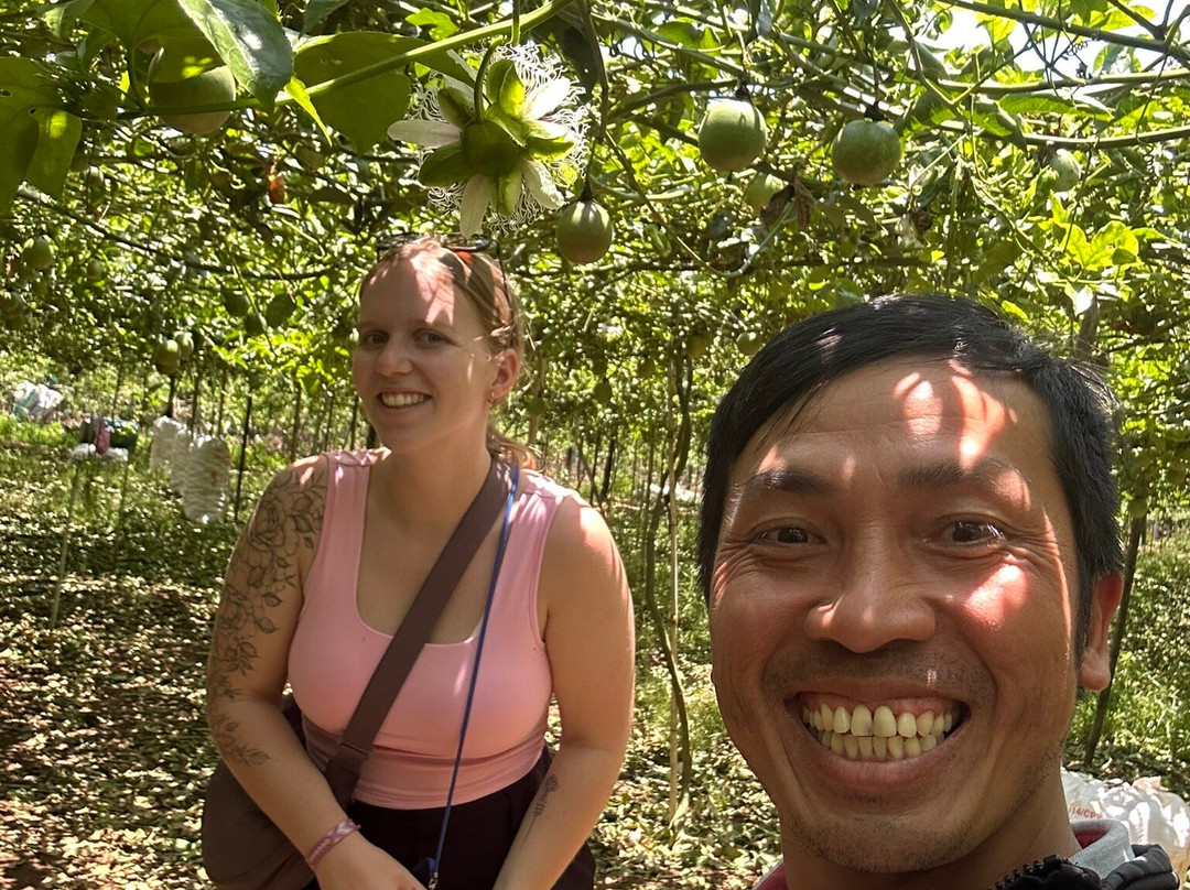 Ocean Easyrider Tour Vietnam-大勒必去景点