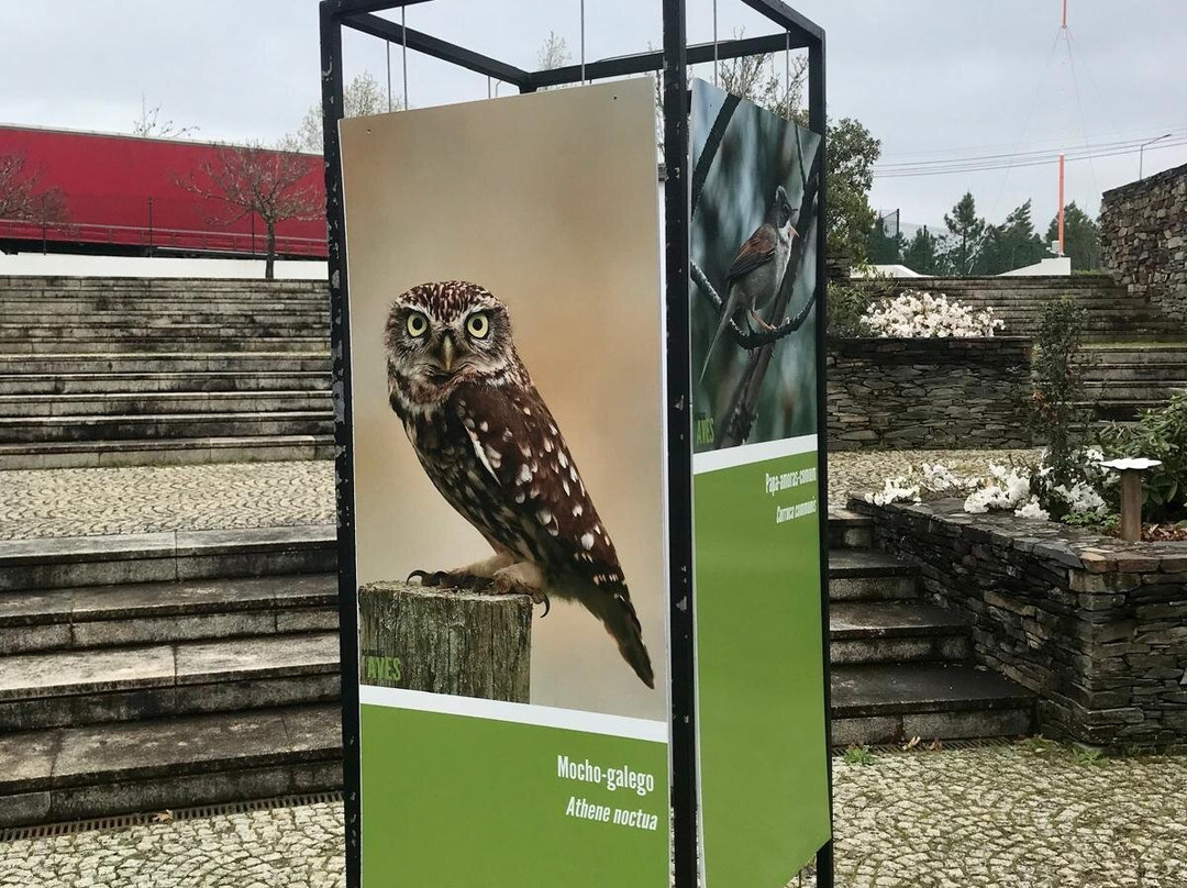 Centro Ciencia Viva Da Floresta-Proenca-a-Nova必去景点