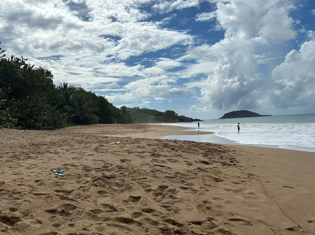 Plage Cluny-Sainte Rose必去景点