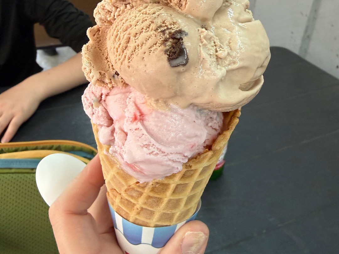 Ice Cream Shop at the Red River Gorge General Store