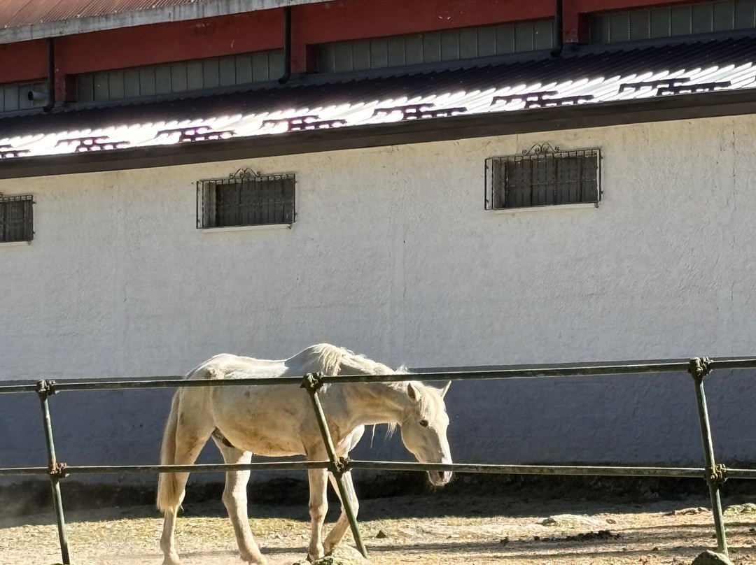 Club Ippico Lo Sperone-Santa Maria Maggiore必去景点