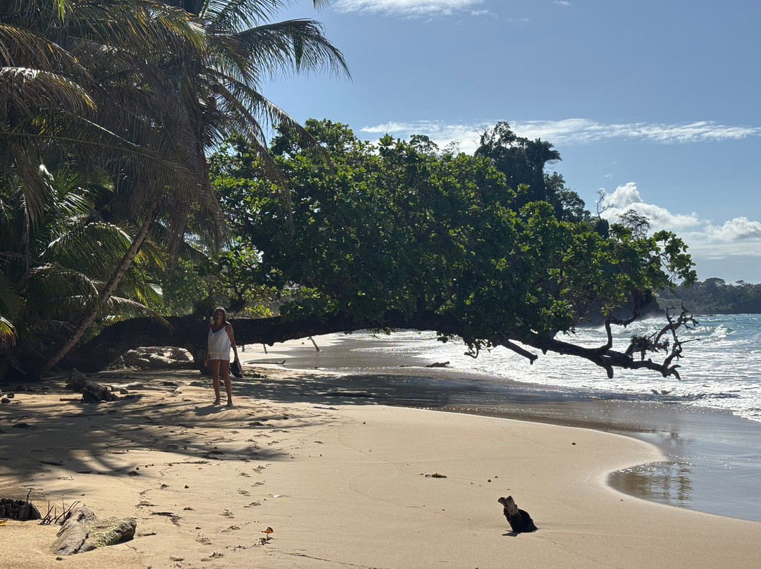 Polo Beach-Isla Bastimentos必去景点