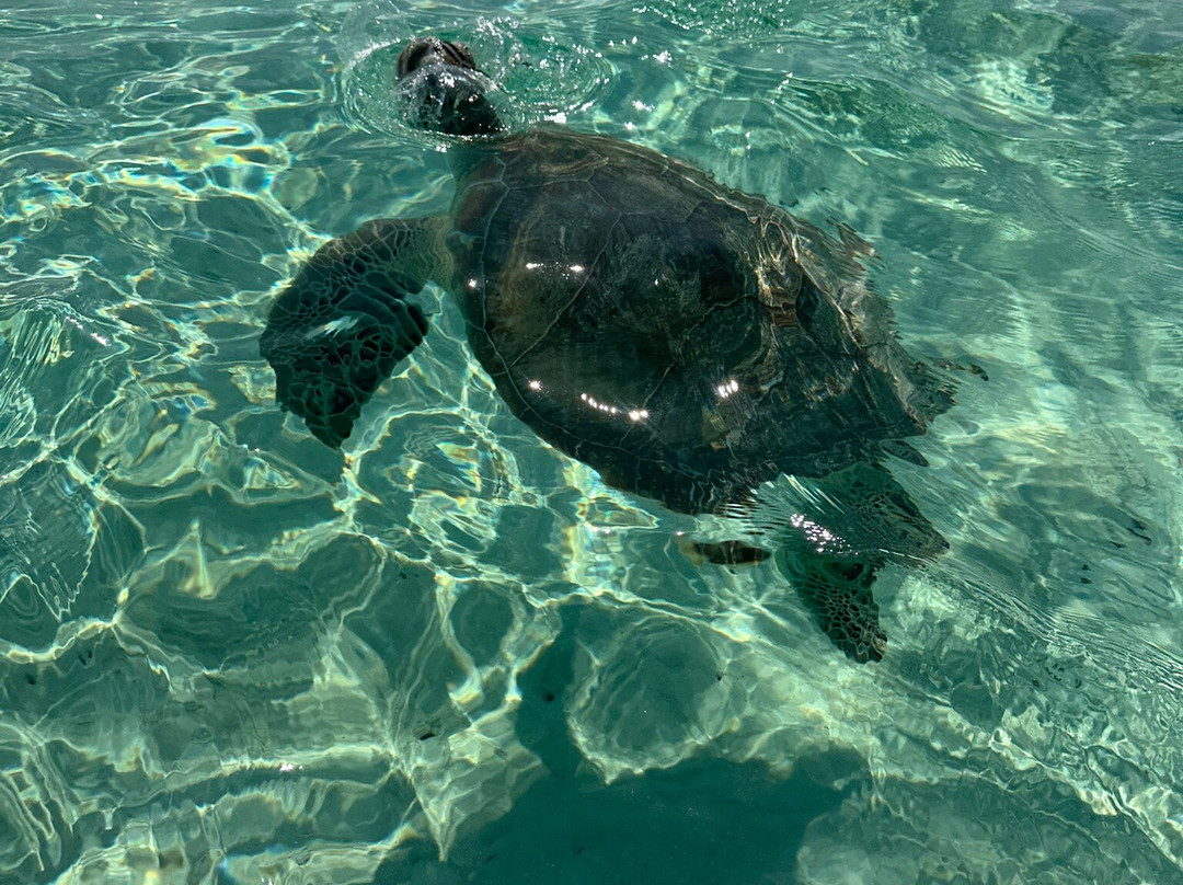 Balabac Tour By The Wanderwalkers-巴拉巴克必去景点