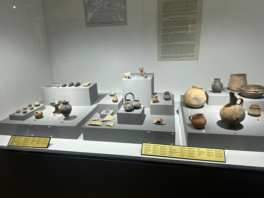 Sivas Arkeoloji Muzesi-Sivas必去景点