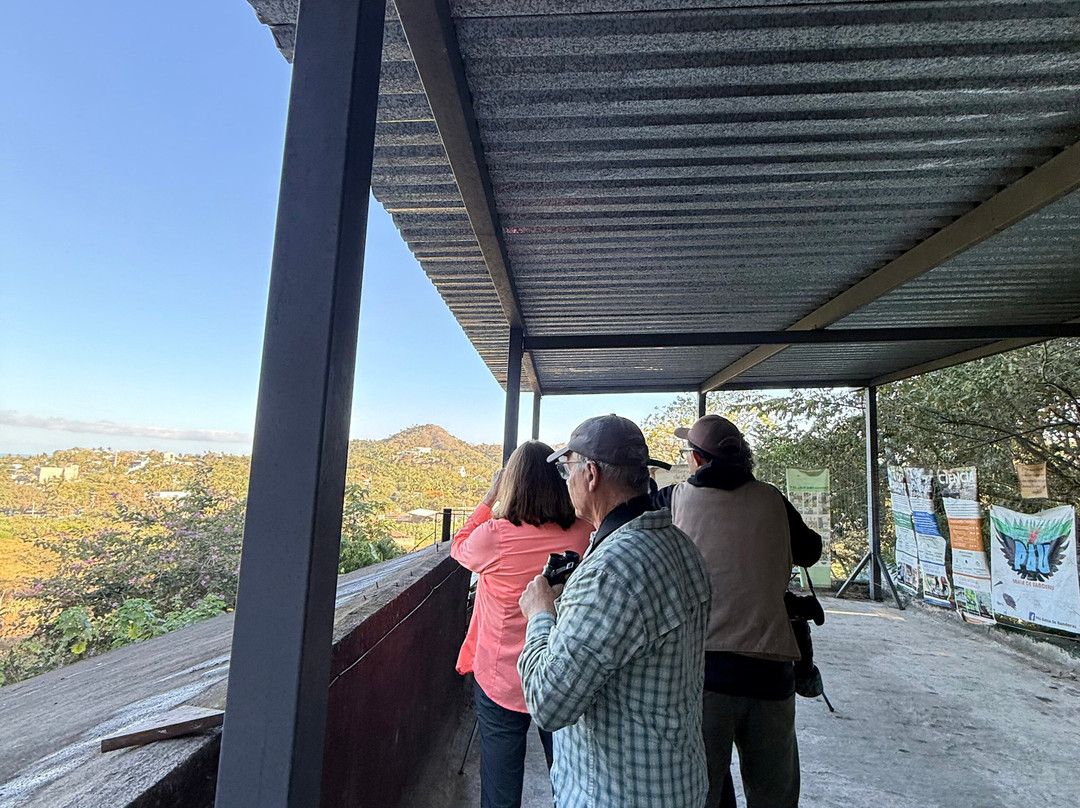 Centro de Visitantes OASP-旧金山必去景点