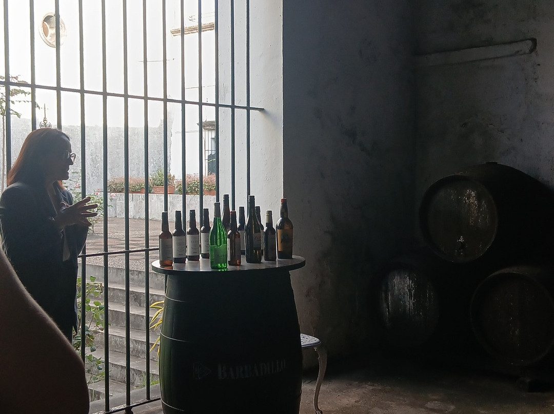 Bodegas Barbadillo-Sanlucar de Barrameda必去景点
