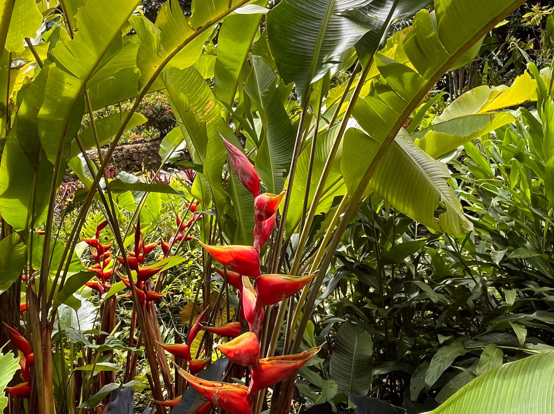 Jardin Botanique de Valombreuse-Petit-Bourg必去景点