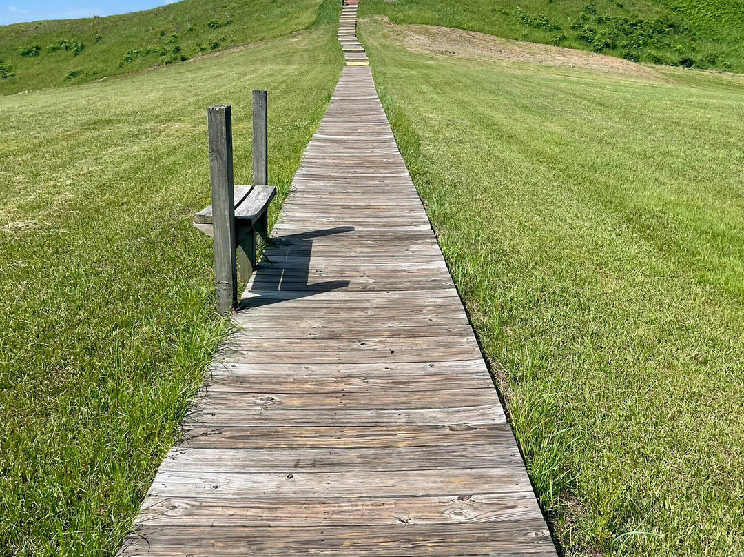 Poverty Point World Heritage Site-Epps必去景点