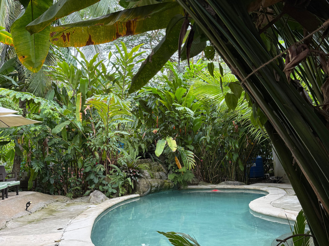 Conga Boutique Hotel主图