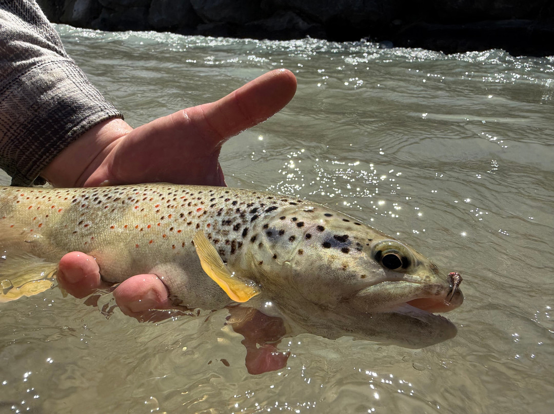 Riviera fly-fishing-Roquefort les Pins必去景点