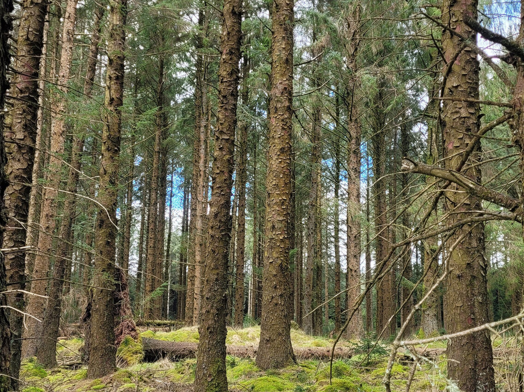 Fernworthy Reservoir-Chagford必去景点